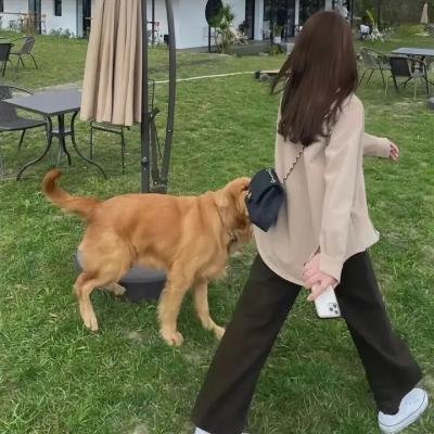无名的恋歌